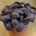 Базилік фіолетовий Єреванський 0,5 г насіння пакетоване